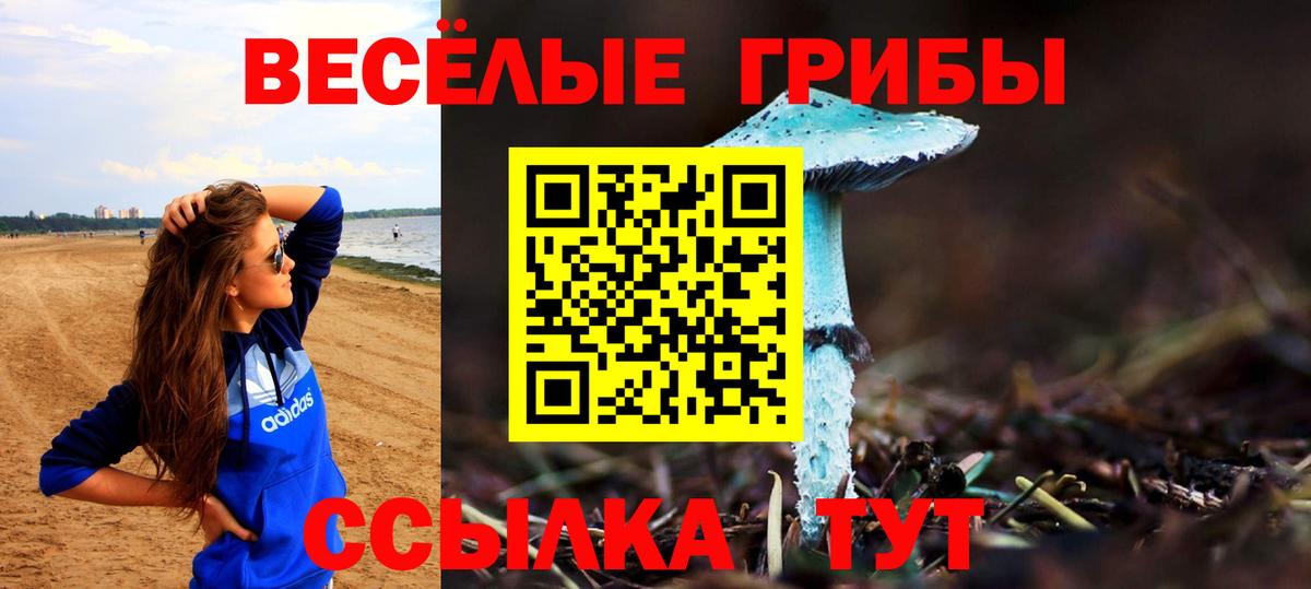 Псилоцибиновые грибы Psilocybe  Вход с VPN  Партизанск 